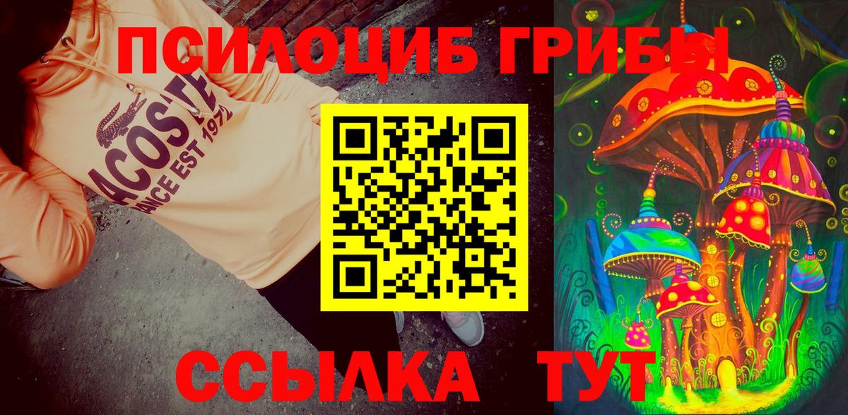 Псилоцибиновые грибы Psilocybine cubensis  продажа наркотиков  Губаха  Вход с VPN 