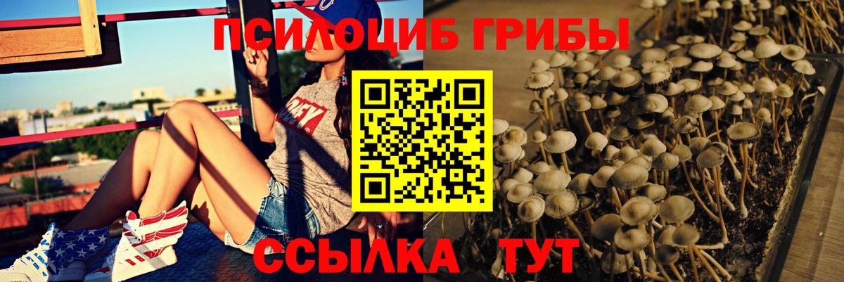 Псилоцибиновые грибы ЛСД Губаха